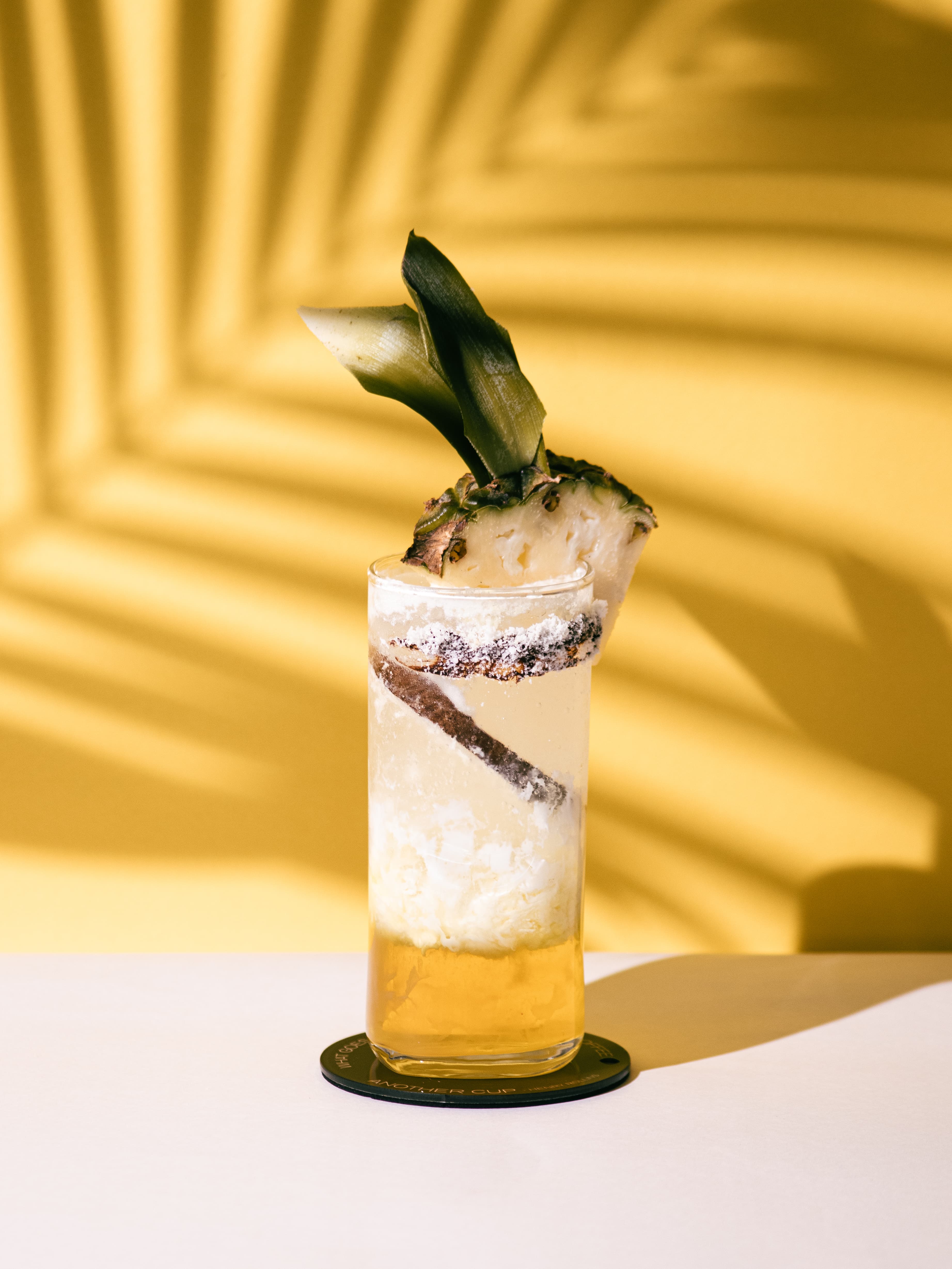 Tropical Forest Refresher